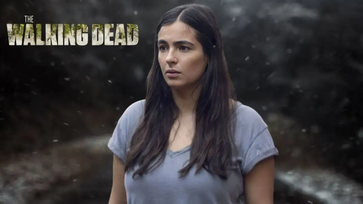 What Happened to Tara in the Walking Dead? How Did Tara Die in the Walking Dead?