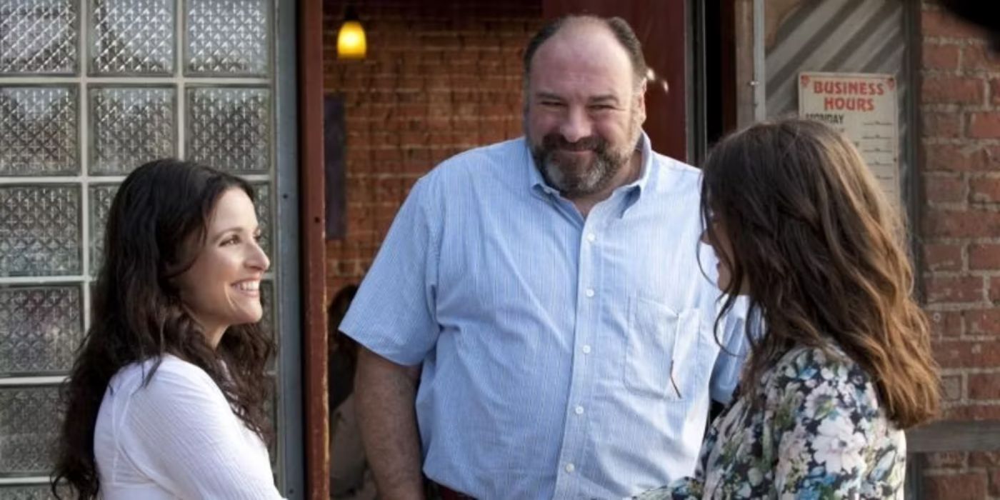 Every Nicole Holofcener Movie, Ranked Worst-Best