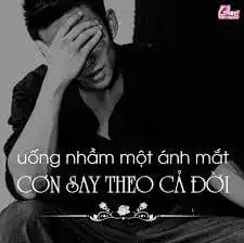 những câu nói hay khi say những câu nói hay khi say