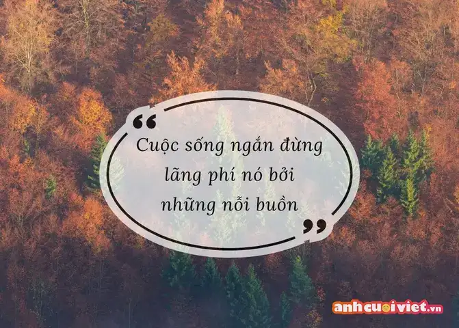 những câu nói buồn cười về cuộc sống