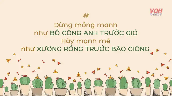 câu nói về cây xương rồng