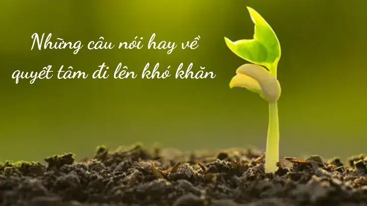 câu nói quyết tâm câu nói quyết tâm