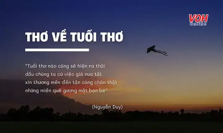 câu nói hay về tuổi 23 câu nói hay về tuổi 23