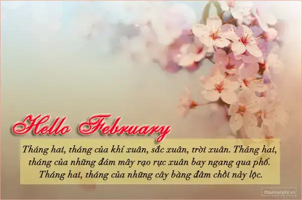 câu nói hay về tháng 2 câu nói hay về tháng 2