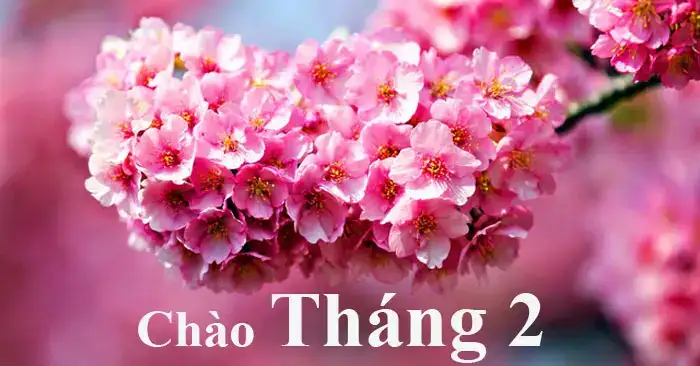 câu nói hay về tháng 2 câu nói hay về tháng 2