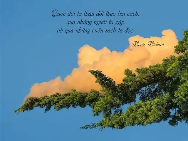 câu nói hay về sự thay đổi trong tình yêu câu nói hay về sự thay đổi trong tình yêu