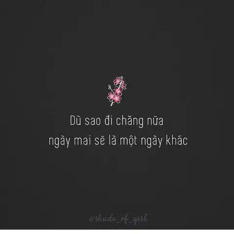 câu nói hay về cuộc sống bon chen câu nói hay về cuộc sống bon chen