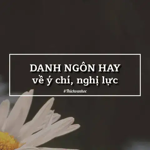 câu nói của bác hồ về ý chí nghị lực câu nói của bác hồ về ý chí nghị lực