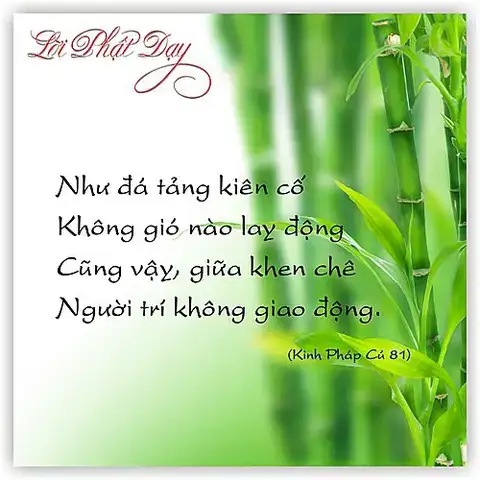 những câu nói chảnh những câu nói chảnh