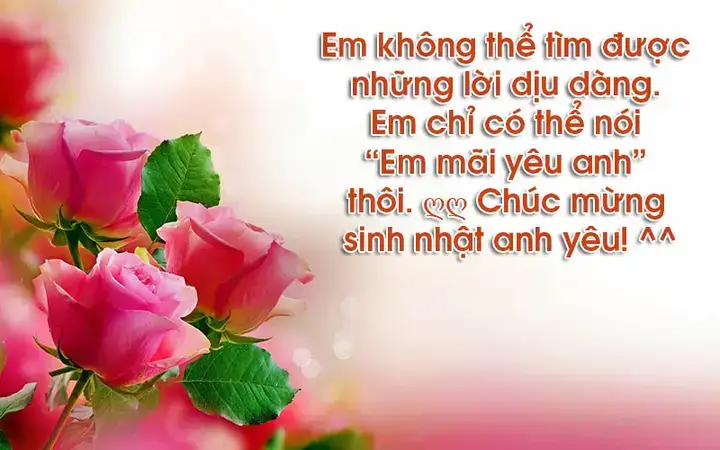 những câu nói chúc sinh nhật người yêu những câu nói chúc sinh nhật người yêu