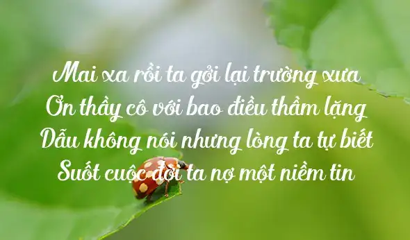 ngắn những câu nói hay về thầy cô ngắn những câu nói hay về thầy cô