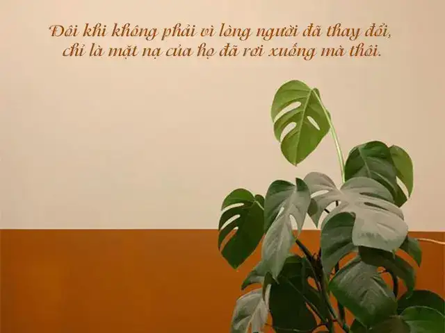 câu nói về lòng người thay đổi câu nói về lòng người thay đổi