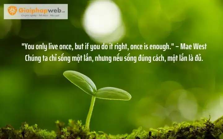 câu nói hay về suy nghĩ tích cực câu nói hay về suy nghĩ tích cực