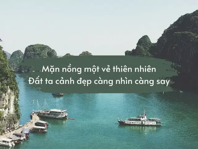 câu nói hay về cái đẹp