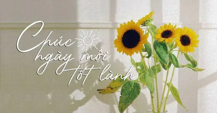 câu nói chúc ngày mới hay câu nói chúc ngày mới hay
