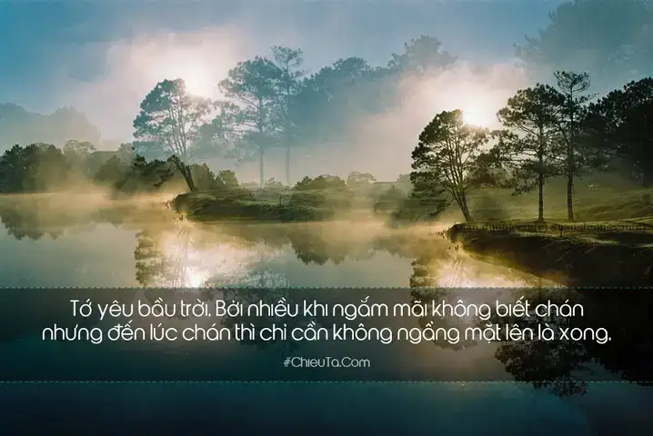 câu nói hay về mặt trời câu nói hay về mặt trời