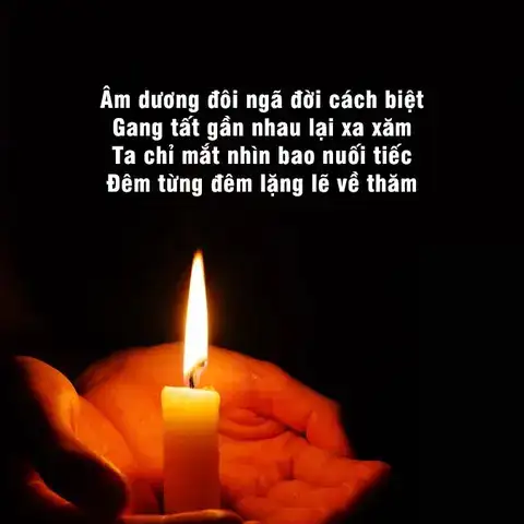 câu nói hay về sự mất mát câu nói hay về sự mất mát