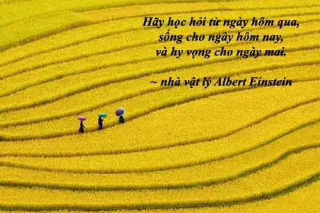 những câu nói hay về ngày mai những câu nói hay về ngày mai