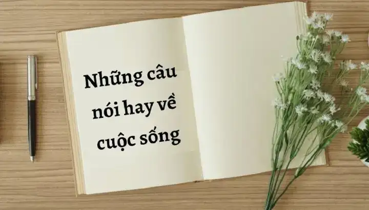 những câu nói bất lực trong cuộc sống
