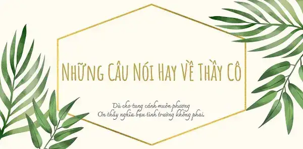 những câu nói bất hủ về thầy cô những câu nói bất hủ về thầy cô
