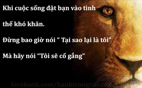 những câu nói bất hủ facebook những câu nói bất hủ facebook