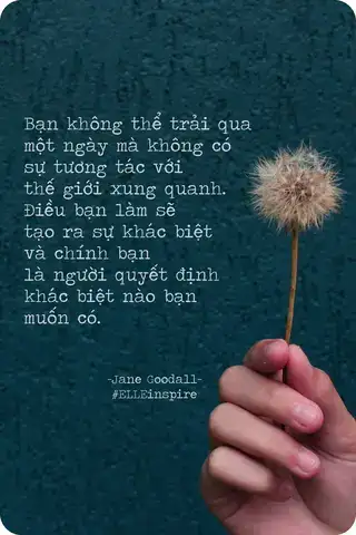 những câu nói bảo vệ người yêu những câu nói bảo vệ người yêu