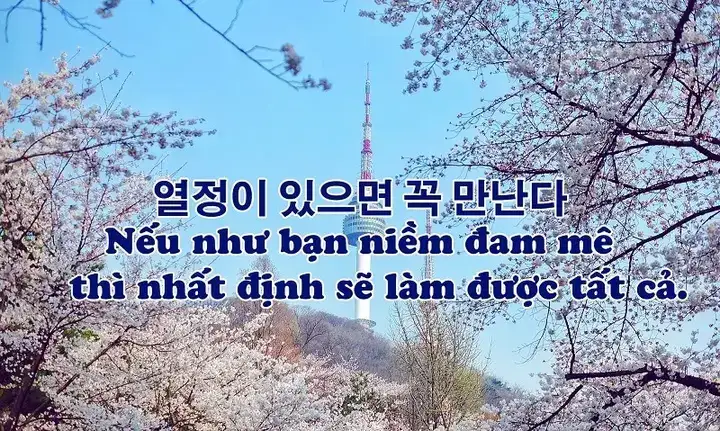 những câu nói buồn tiếng hàn những câu nói buồn tiếng hàn