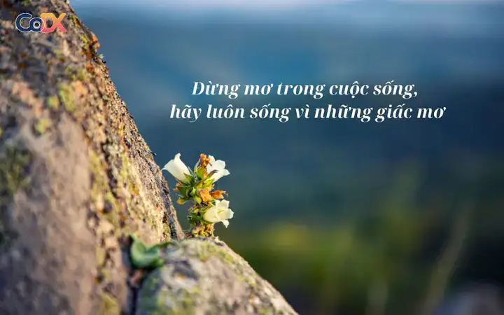 những câu nói tiếp thêm năng lượng