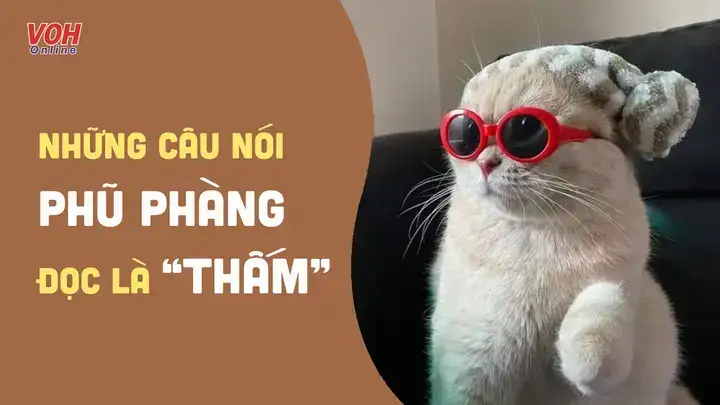 những câu nói phủ phàng trong tình yêu những câu nói phủ phàng trong tình yêu