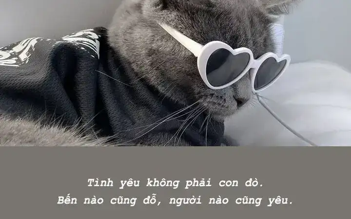 những câu nói phủ phàng trong tình yêu những câu nói phủ phàng trong tình yêu