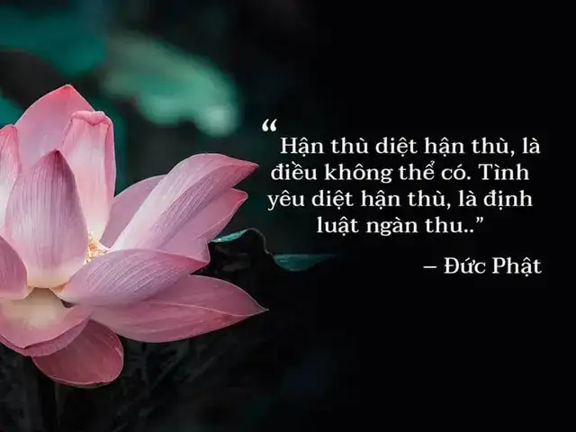 hình ảnh phật và những câu nói hay hình ảnh phật và những câu nói hay