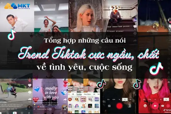 những câu nói ngầu trên tik tok những câu nói ngầu trên tik tok