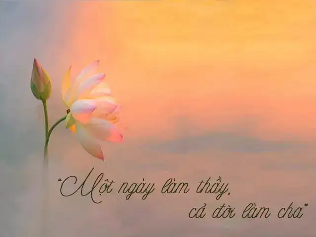 những câu nói về tôn sư trọng đạo những câu nói về tôn sư trọng đạo