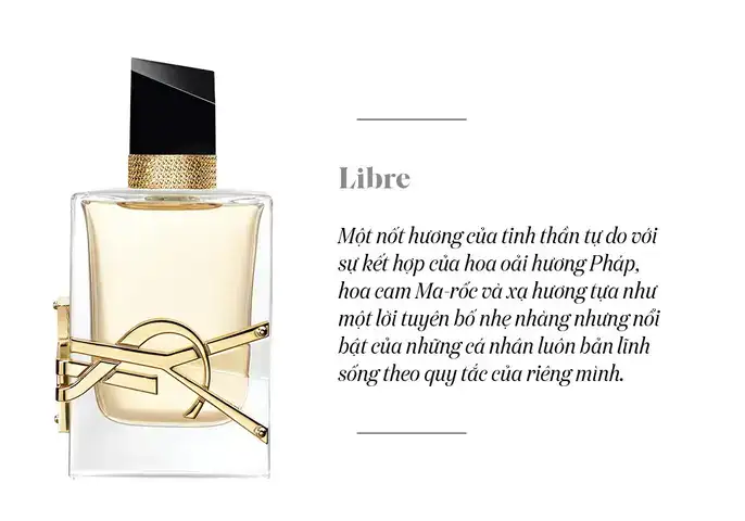 những câu nói hay về mùi hương những câu nói hay về mùi hương