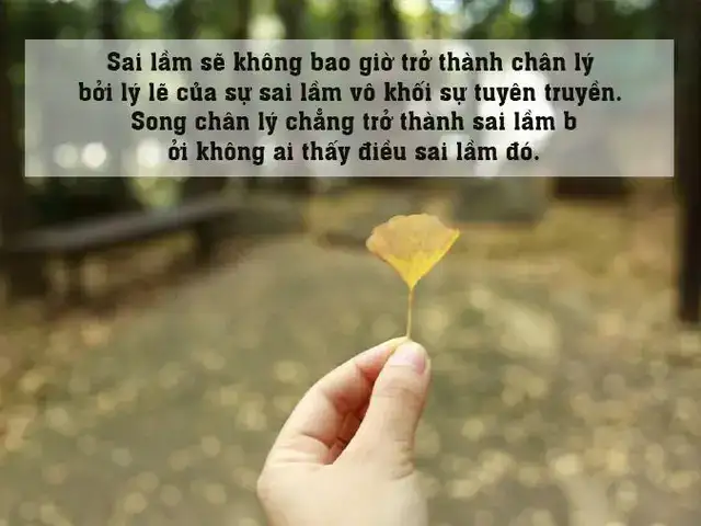 những câu nói về sự lựa chọn sai lầm những câu nói về sự lựa chọn sai lầm