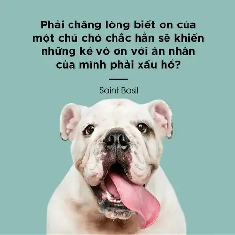 những câu nói hay về kẻ vô ơn những câu nói hay về kẻ vô ơn