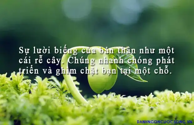 câu nói về sự lười biếng
