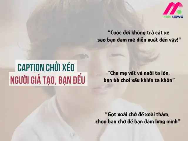 những câu nói chửi nhau