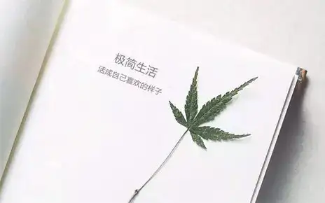 những câu nói bằng tiếng trung những câu nói bằng tiếng trung