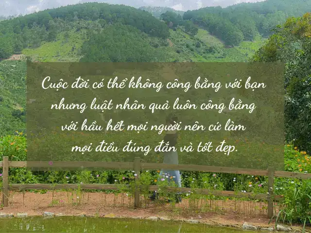 những câu nói cay đắng về cuộc sống những câu nói cay đắng về cuộc sống