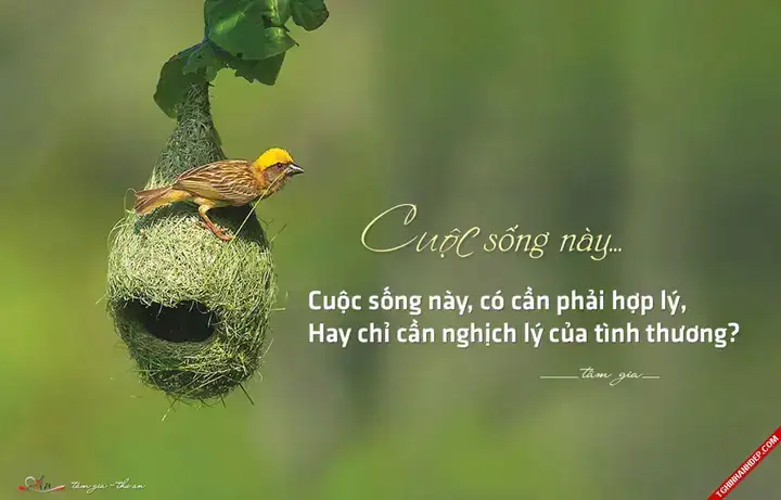 hình ảnh những câu nói hay