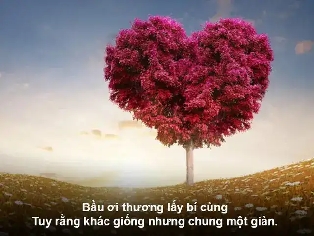 câu nói về yêu thương con người