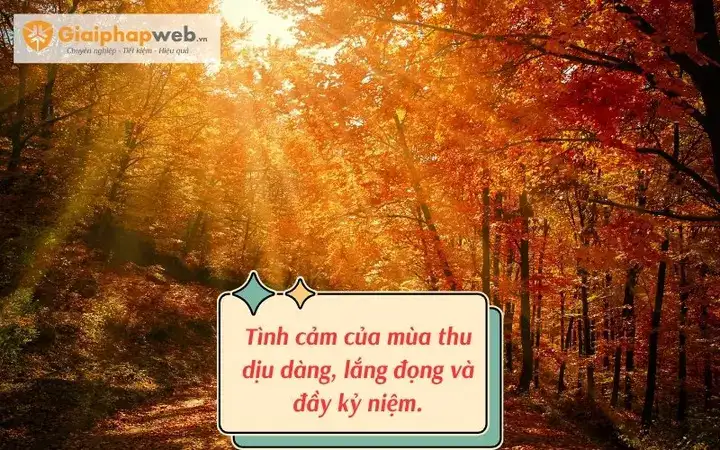 câu nói hay về mùa thu đông câu nói hay về mùa thu đông