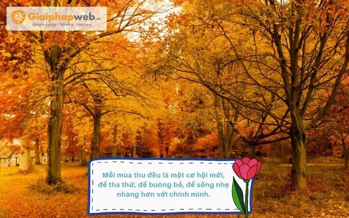 câu nói hay về mùa thu đông câu nói hay về mùa thu đông