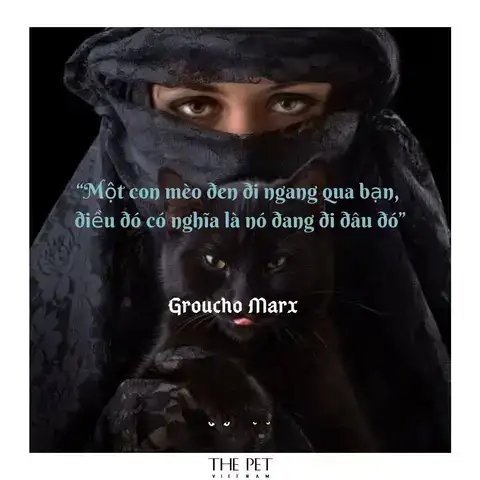 câu nói hay về loài chó