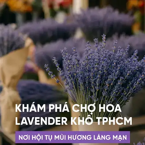 câu nói hay về hoa lavender câu nói hay về hoa lavender