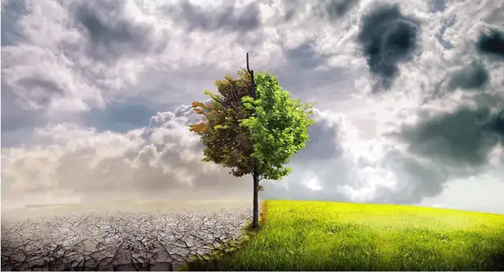 câu nói về sự sống và cái chết câu nói về sự sống và cái chết