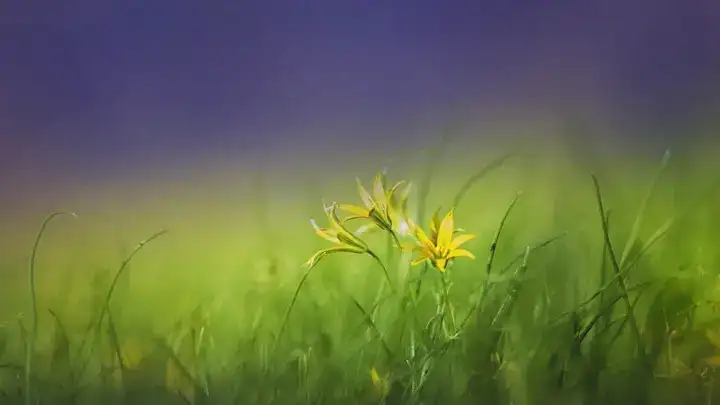 những câu nói trong sách hay về cuộc sống