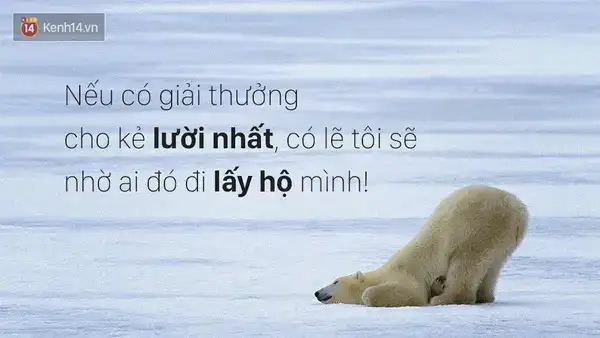 câu nói hài hước về lười biếng câu nói hài hước về lười biếng