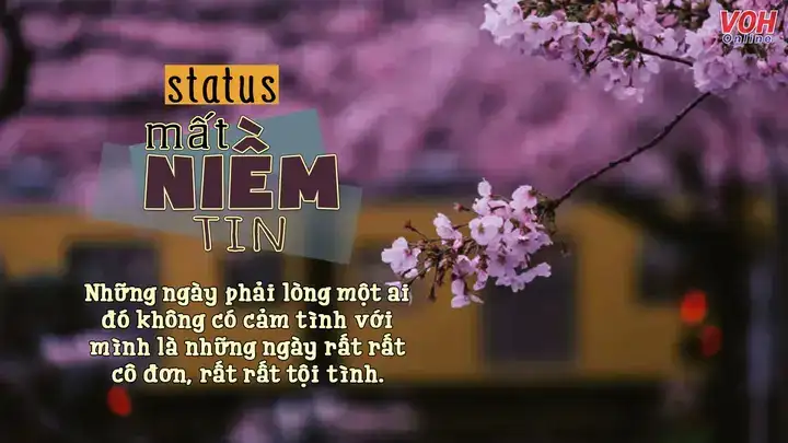 những câu nói hay về mất niềm tin